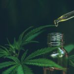 CBD Olje Norge
